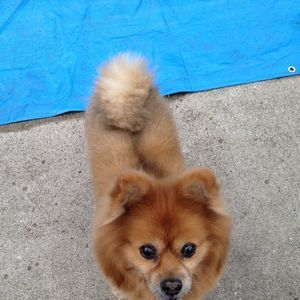 Meet your Posher, Cindy